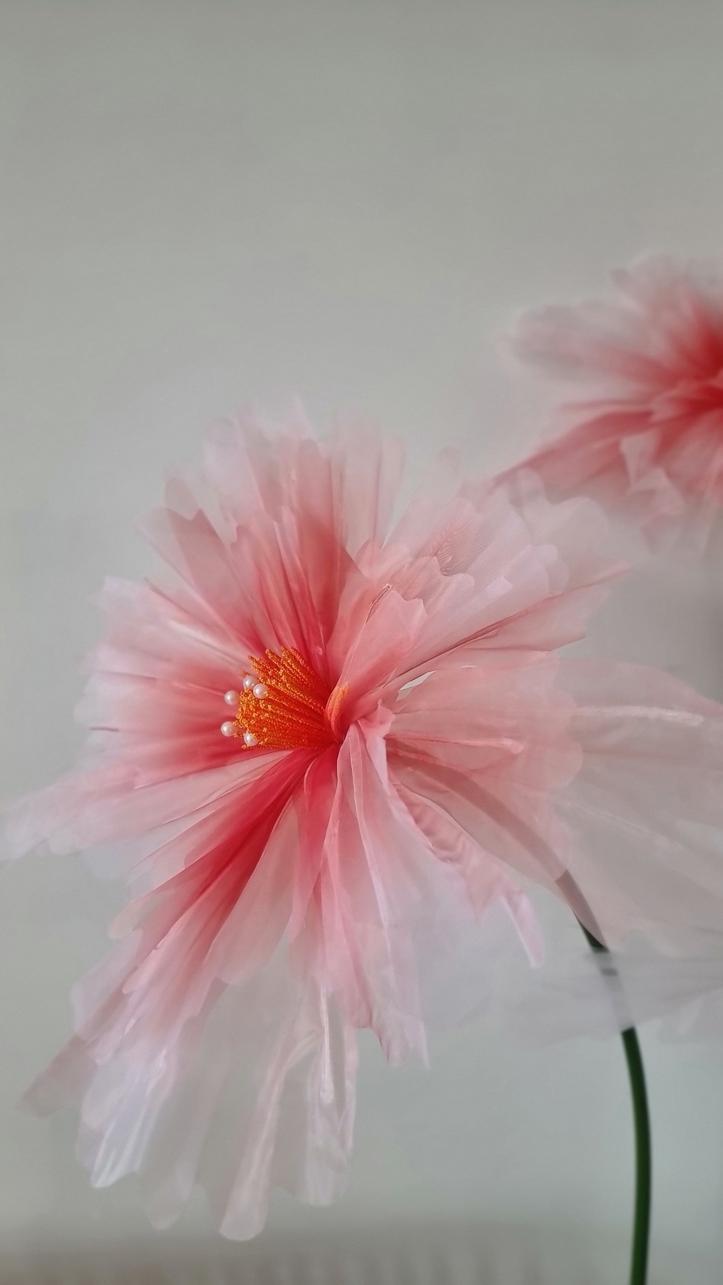 Giant Flower Power
